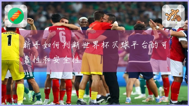 新手如何判断世界杯买球平台的可靠性和安全性