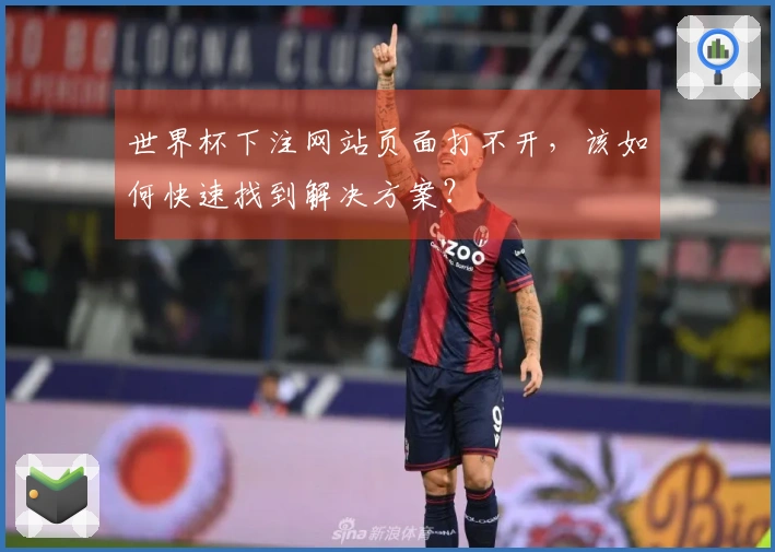 世界杯下注网站页面打不开，该如何快速找到解决方案？
