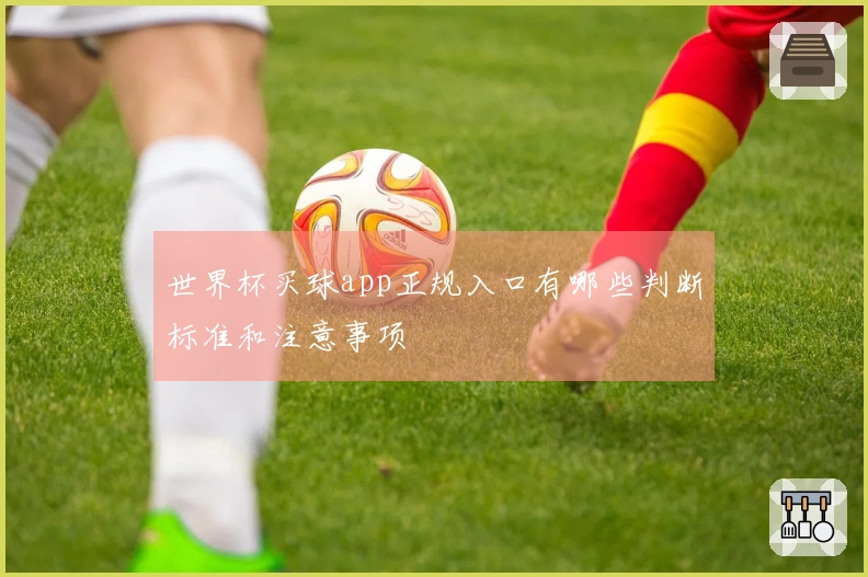 世界杯买球app正规入口有哪些判断标准和注意事项