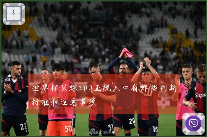 世界杯买球app正规入口有哪些判断标准和注意事项