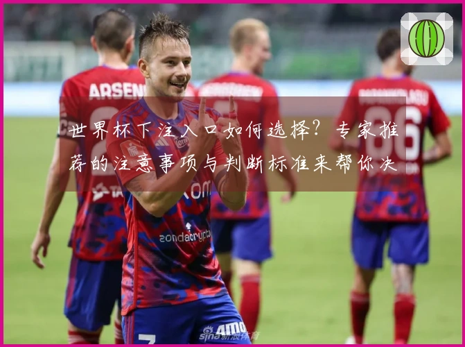 世界杯下注入口如何选择？专家推荐的注意事项与判断标准来帮你决策